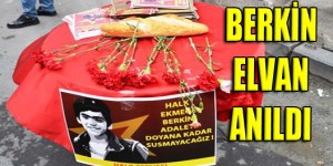 berkin_elvan