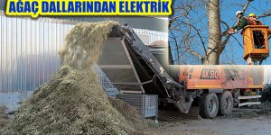 Ataşehir’in Ağaç Dalları Elektriğe Dönüşüyor