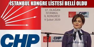 CHP İstanbul Yönetimi ve Kurultay Delege Listesi Belli Oldu