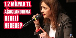 İlgezdi: Nerede Bu Ağaçlandırma Paraları?