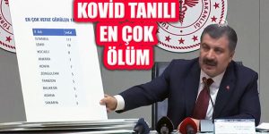 Bakan Koca Açıkladı: ‘Kovid Tanılı Ölümlerin Olduğu İller’