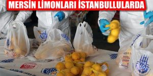 Mersin’den Gelen Limonlar İstanbullulara Dağıtılıyor