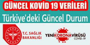 Kovid Salgınında Toplam Uygulanan Test Sayısı 228 Bini Geçti